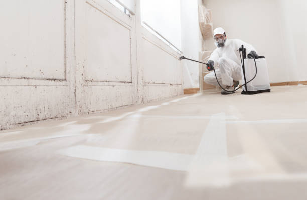 24/7 Emergency Mold Removal experts in Easton, MD